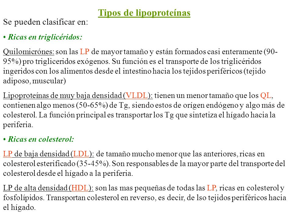 Funcion del hdl colesterol